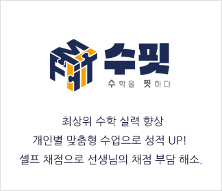 수핏